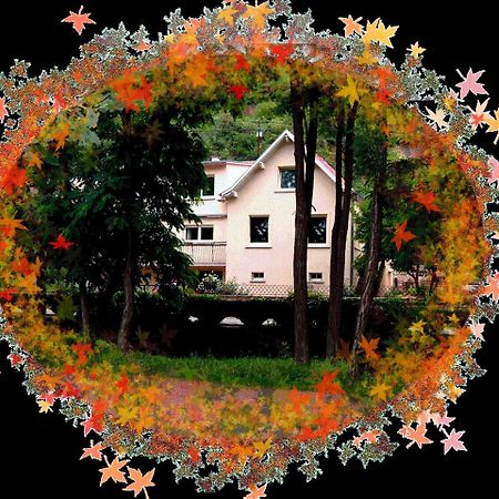 Le Croissant De Lune Ingersheim Exterior photo
