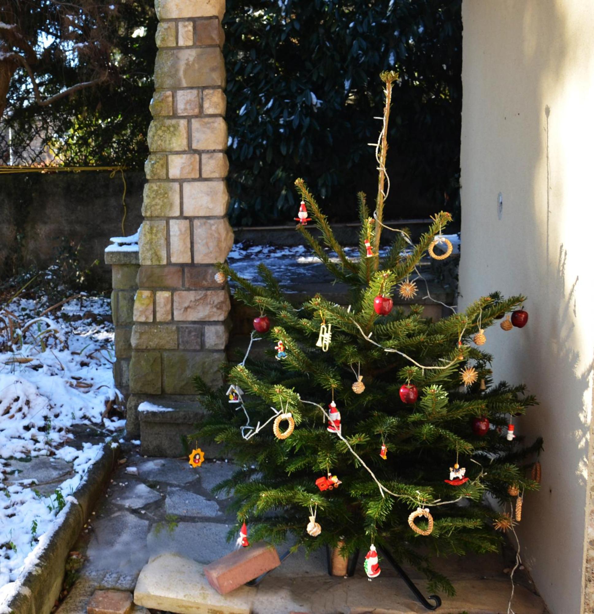 Le Croissant De Lune Ingersheim Exterior photo